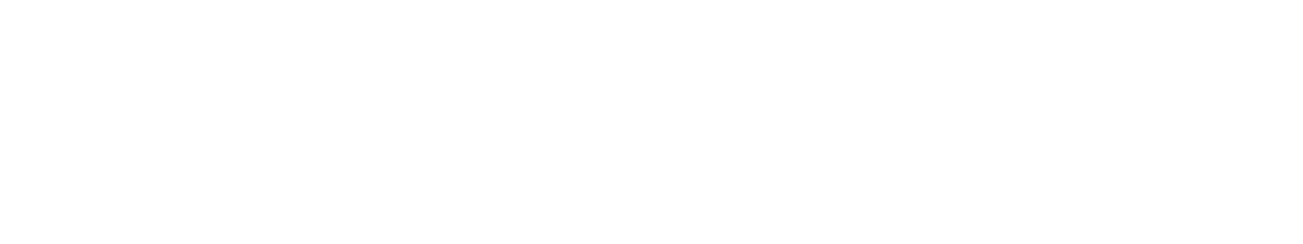 Burnout Echoes